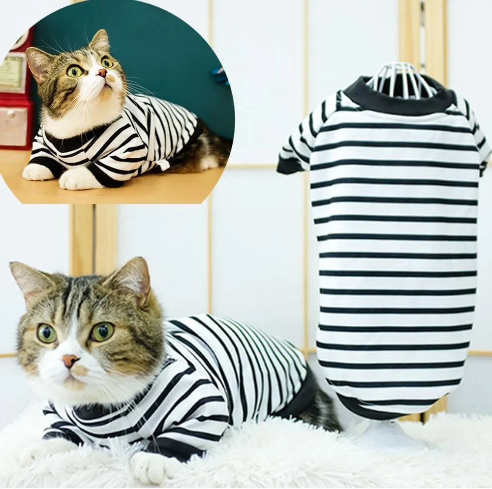 ANIAC Fall Dog Sweater Fleece Striped XS Dog Shirt with Long Sleeves Winter Cat Apparel Warm Puppy Clothes for Small Dog Girl Boy Pet Sweatshirt 2-24 LB (White, Large)
