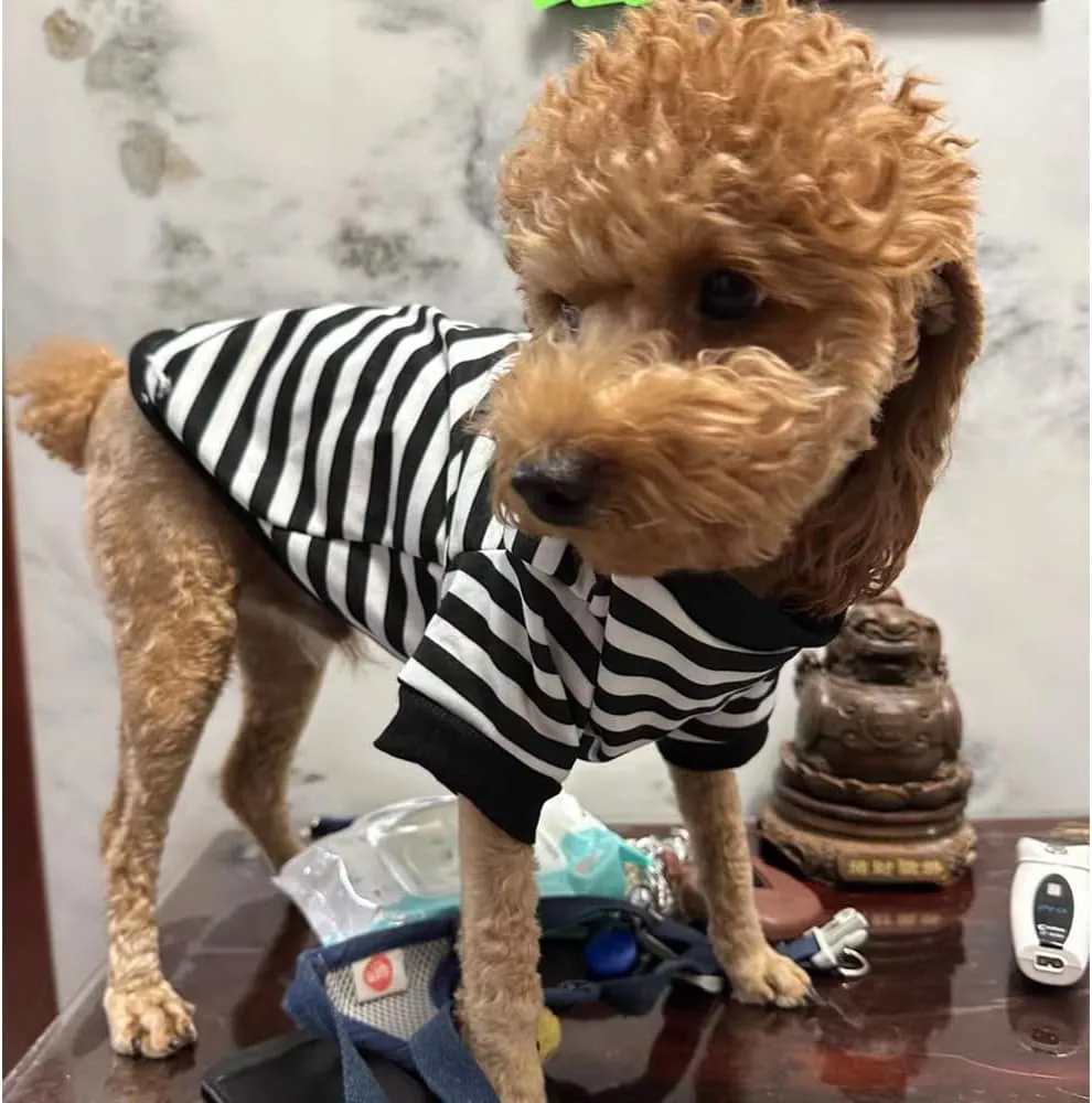 Autumn Dog Hoodies with Leash Ring Warm Striped Puppy Shirt for Small Dog Girl Boy Cat Sweater Winter Pet Clothes Pomeranian Chihuahua Cold Weather Coat (Small, Black)