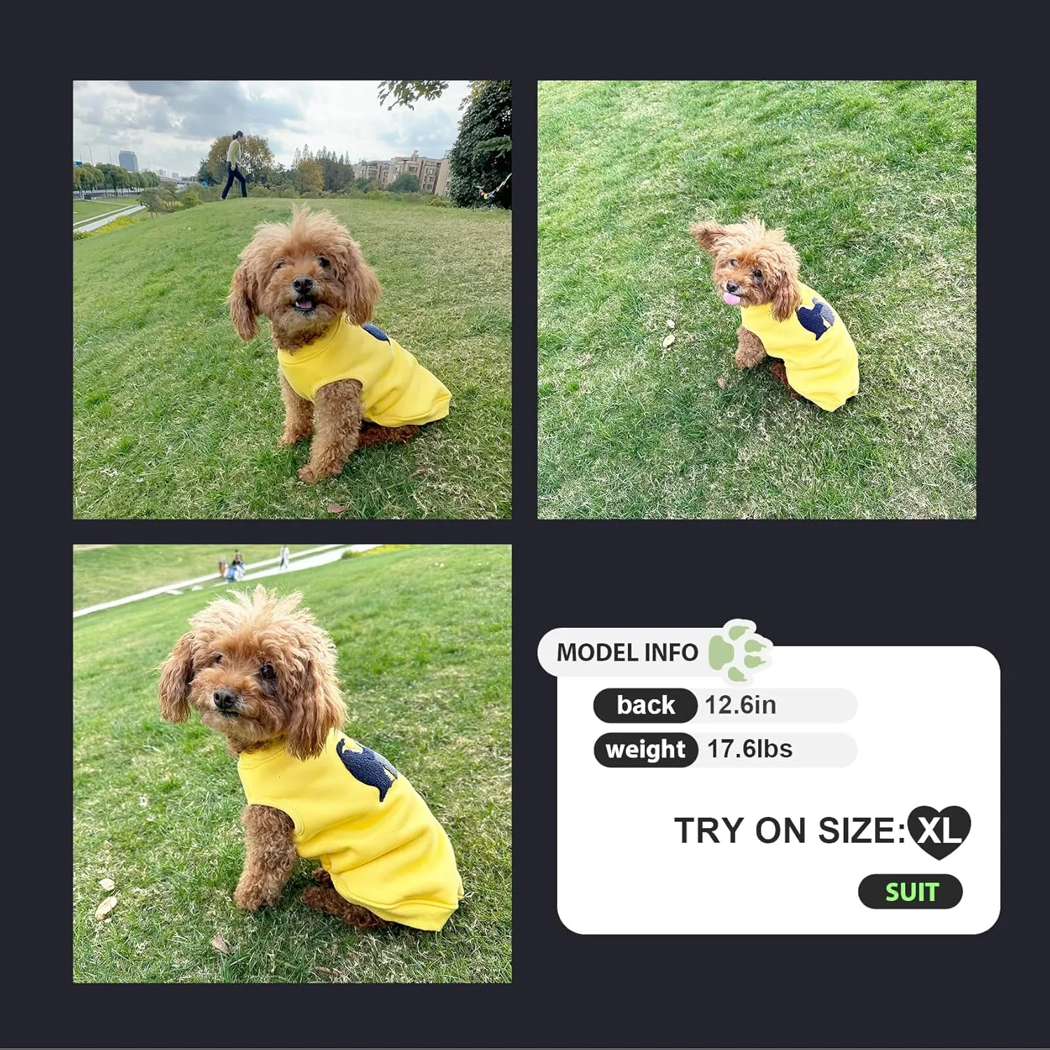 Big/Little Dog Clothes, Stretchy and Comfortable Hooded & Non-Hooded Dog T-Shirt
