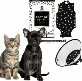Cat Recovery Suit Kit - Post Surgical Soft Pet Vest, Collar, and Non-Irritating Protection Cone for Cats - Comfortable Injury Care Solution Keeps Them from Licking Wounds - Secure Fit and Washable