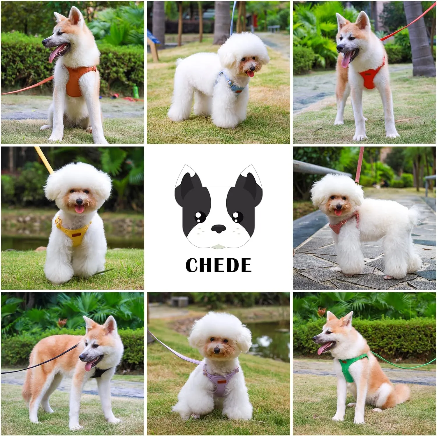 CHEDE No Pull Puppy Harness and Multifunction Dog Leash Set- 8 Colors Soft Adjustable No Choke Escape Proof Cute,Lightweight Pet Vest Harness for Small and Medium Dog (XS, Black)