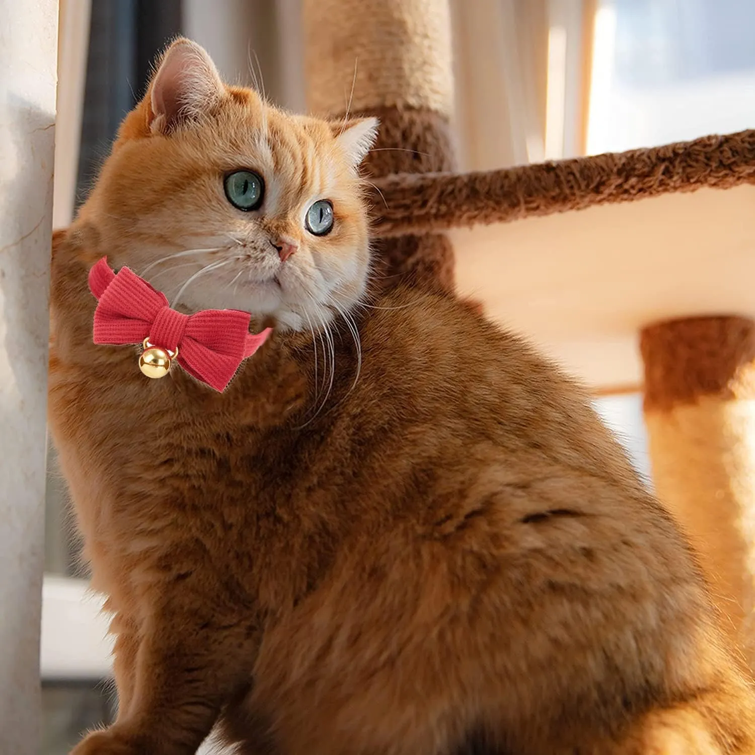 Cotton Breakaway Cat Collar with Bow Tie and Bell, Adjustable Cute Soft Corduroy Kitten Collars for Girl and Boy Cats,Red
