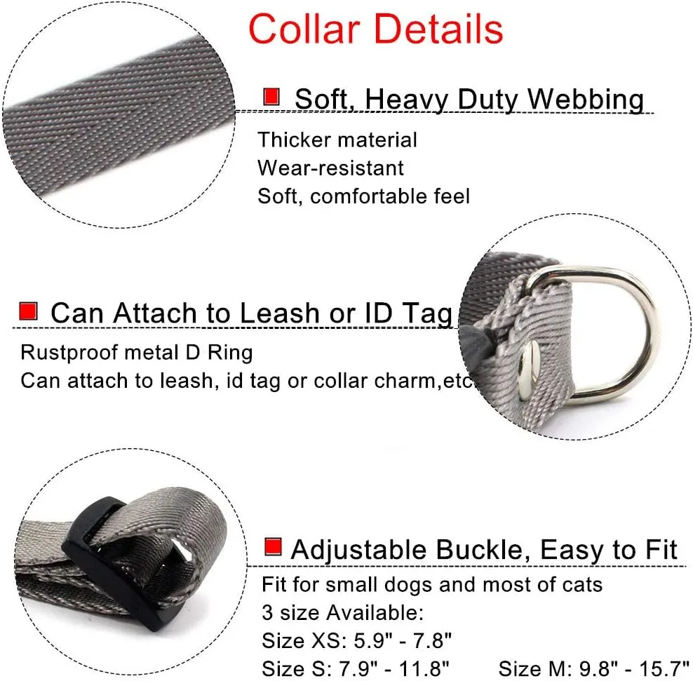 Daisy Female Dog Collar - Detachable Flower Cat Collar for Girl Cats with Bell Pearl Pistil Green Leaf - Soft Nylon Pet Collar for Medium Dogs Girl (Purple Collar and Leash, Size M)
