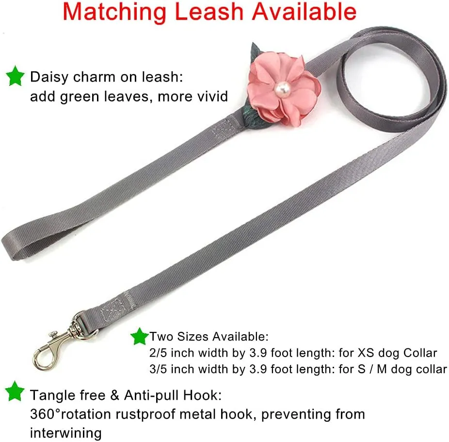 Daisy Female Dog Collar - Detachable Flower Cat Collar for Girl Cats with Bell Pearl Pistil Green Leaf - Soft Nylon Pet Collar for Medium Dogs Girl (Purple Collar and Leash, Size M)