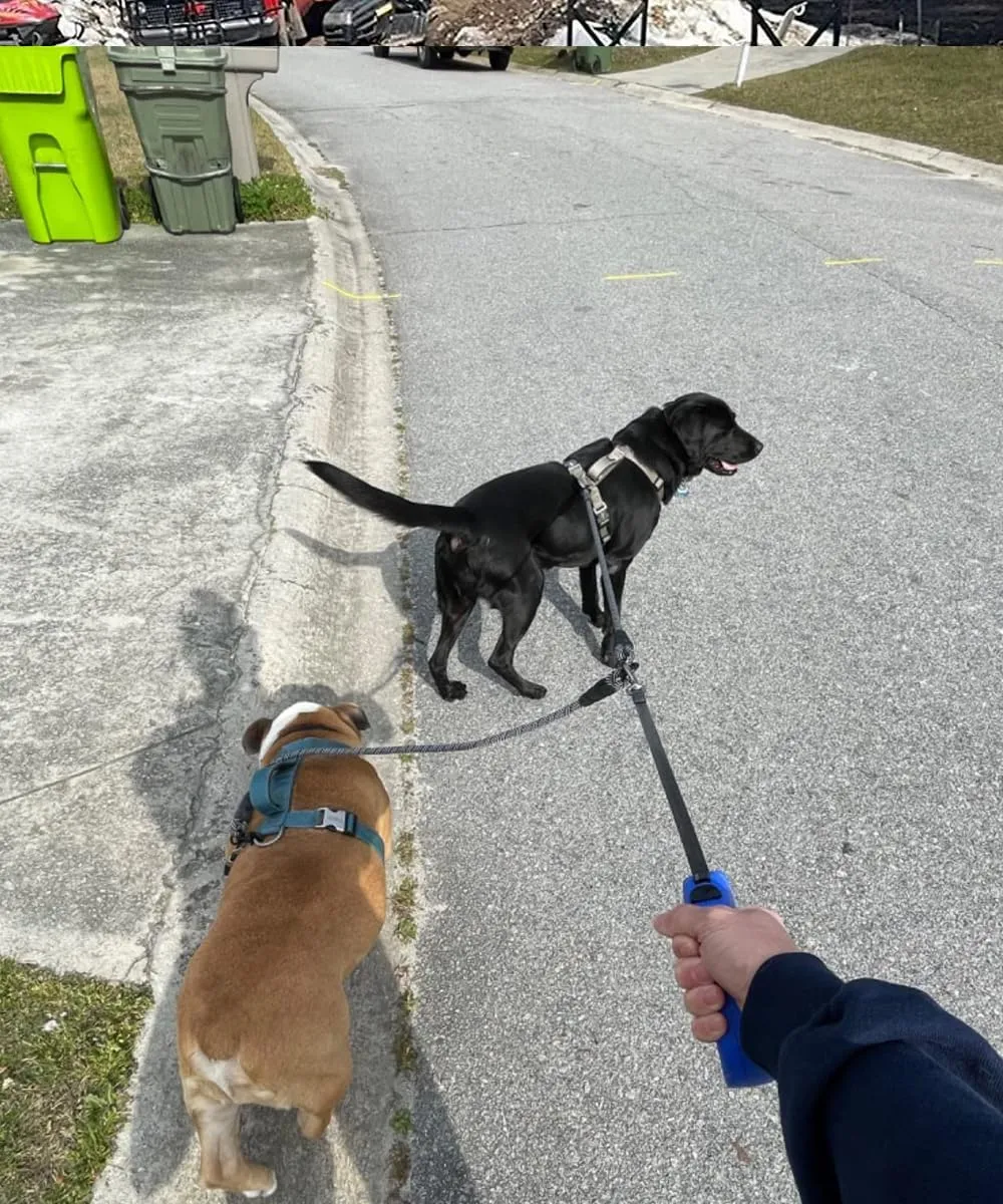 Double Dog Leash Coupler, Extension Rope for Two Dogs, No Tangle Dual Dog Lead Splitter for Large Medium Dogs up to 40 lbs (1/2" X 33"- Black)