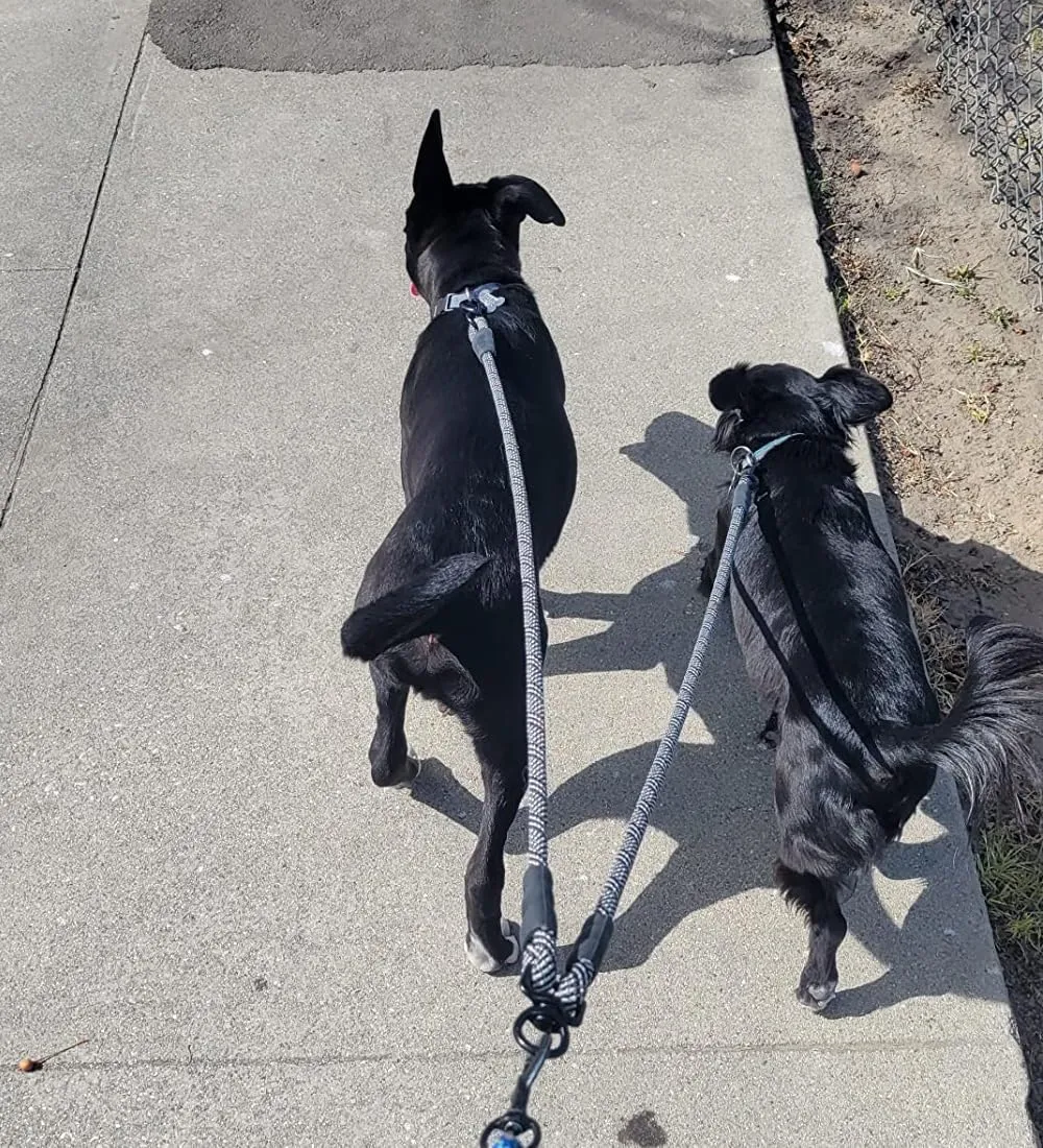 Double Dog Leash Coupler, Extension Rope for Two Dogs, No Tangle Dual Dog Lead Splitter for Large Medium Dogs up to 40 lbs (1/2" X 33"- Black)