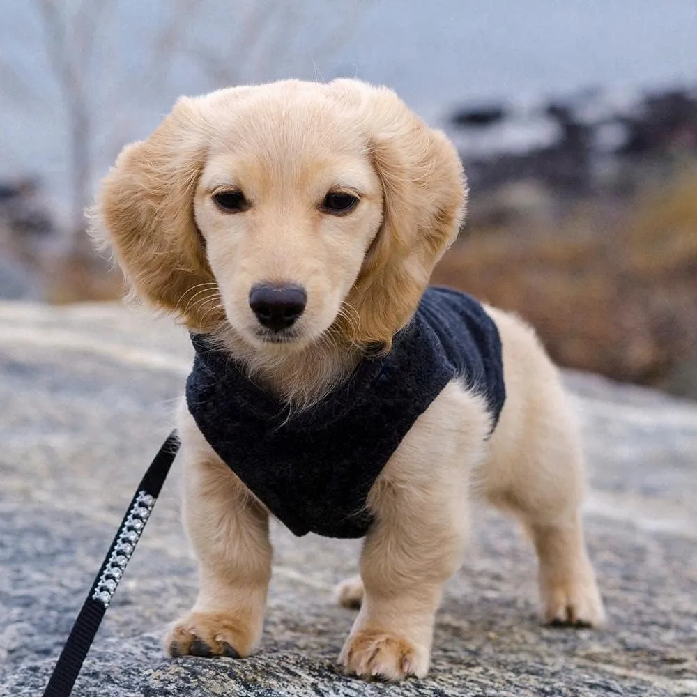 Gooby - Fleece Vest, Small Dog Pullover Fleece Jacket with Leash Ring, Black, Small