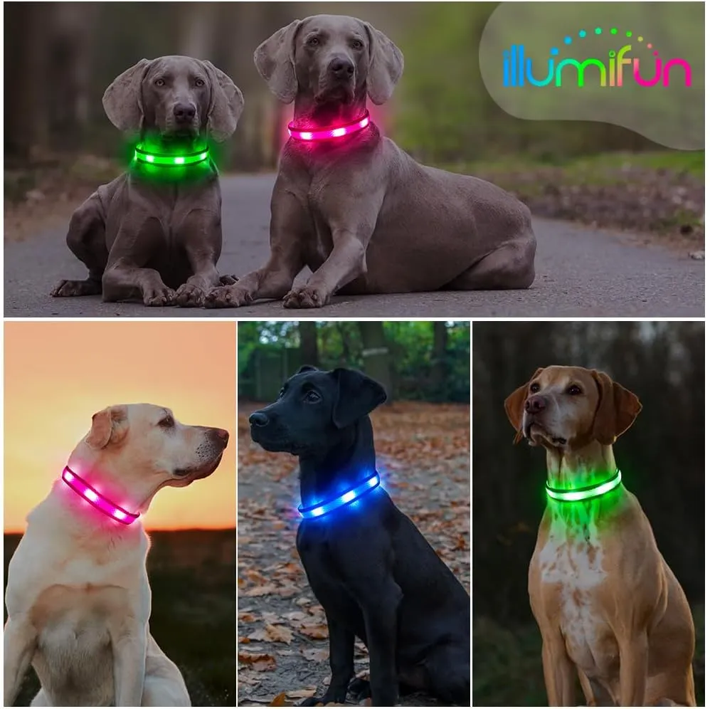 Illumifun Light Up Dog Collar - USB Rechargeable Dog Light Glow in The Dark - High Visibility LED Dog Collar for Night Walking (Medium, Fluorescent Green)