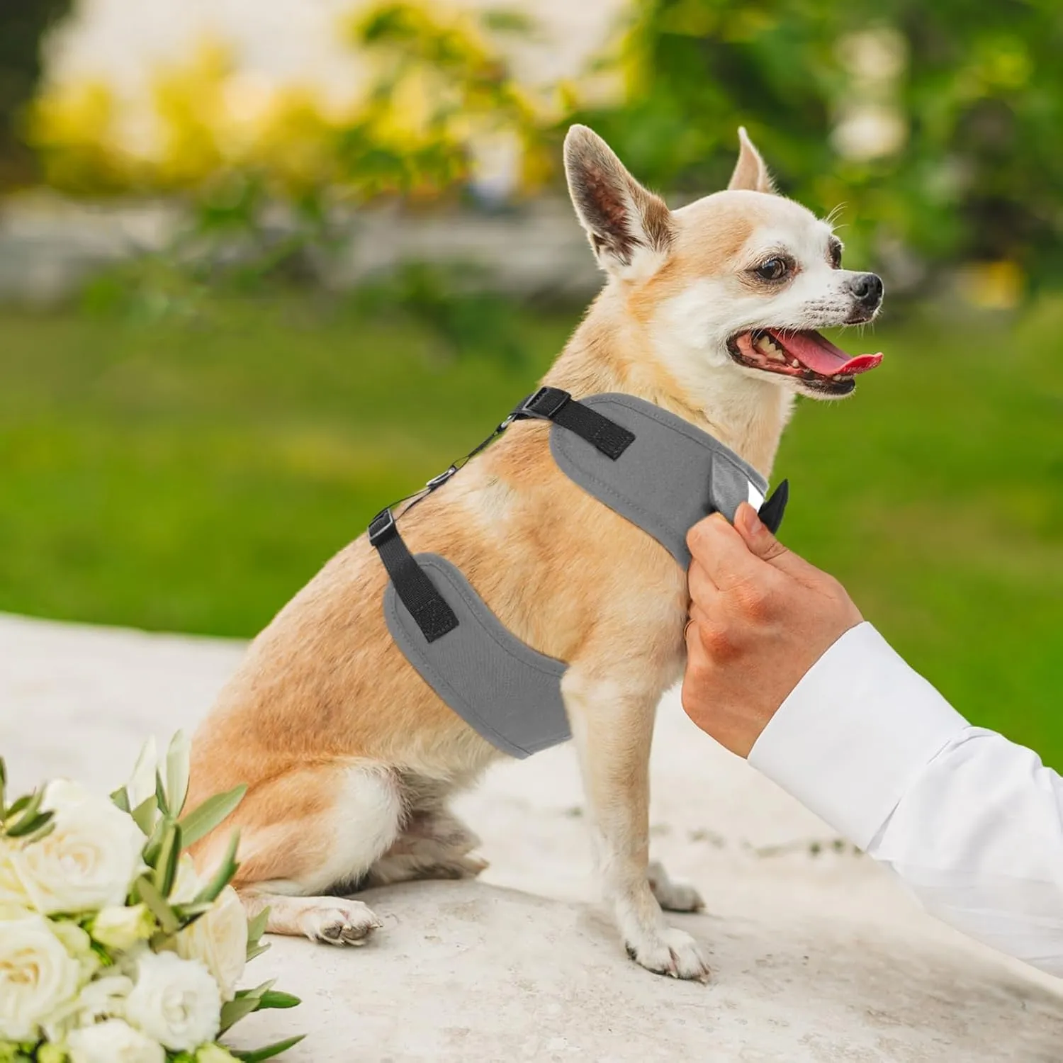 Kuoser Tuxedo Dog Harness, Adjustable No Pull for Small Medium Dogs, Wedding Suit with Bow Tie Party Costume, Gray S