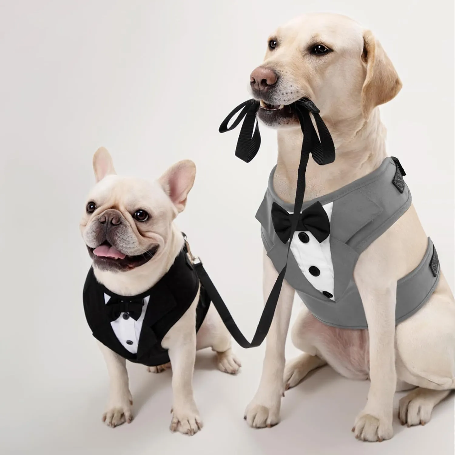 Kuoser Tuxedo Dog Harness, Adjustable No Pull for Small Medium Dogs, Wedding Suit with Bow Tie Party Costume, Gray S