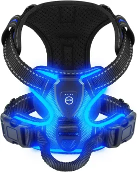 Light Up Dog Harness - LED Dog Harness Rechargeable for Night Walking, Three Lighting Modes, Flashing for More Than 20 Hours, Oxford Cloth(Blue/Medium)