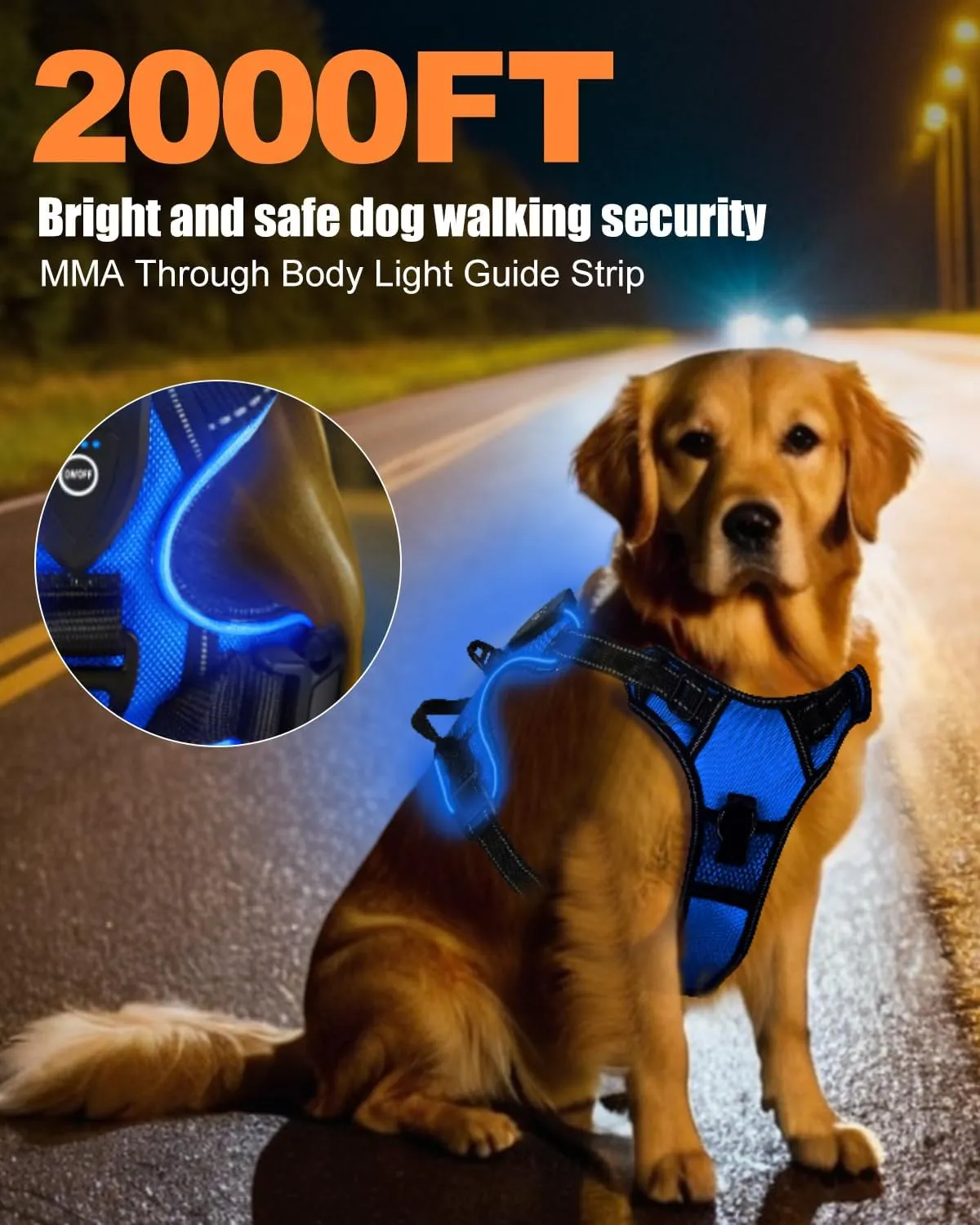 Light Up Dog Harness - LED Dog Harness Rechargeable for Night Walking, Three Lighting Modes, Flashing for More Than 20 Hours, Oxford Cloth(Blue/Medium)