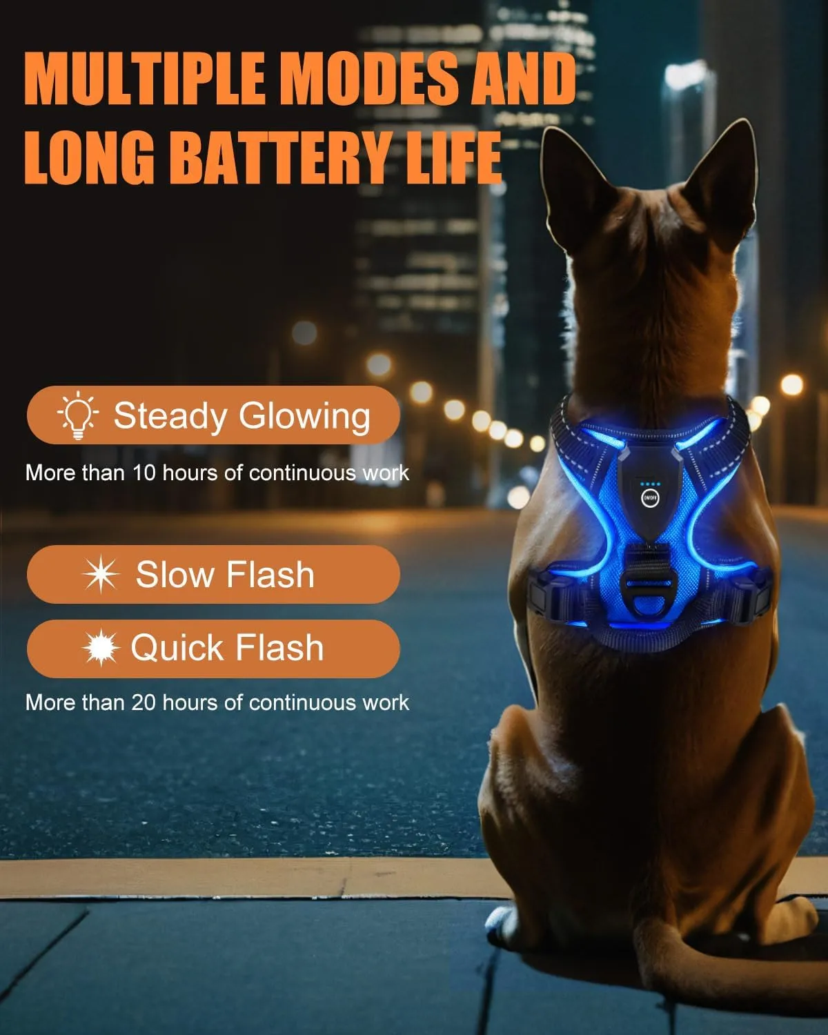 Light Up Dog Harness - LED Dog Harness Rechargeable for Night Walking, Three Lighting Modes, Flashing for More Than 20 Hours, Oxford Cloth(Blue/Medium)