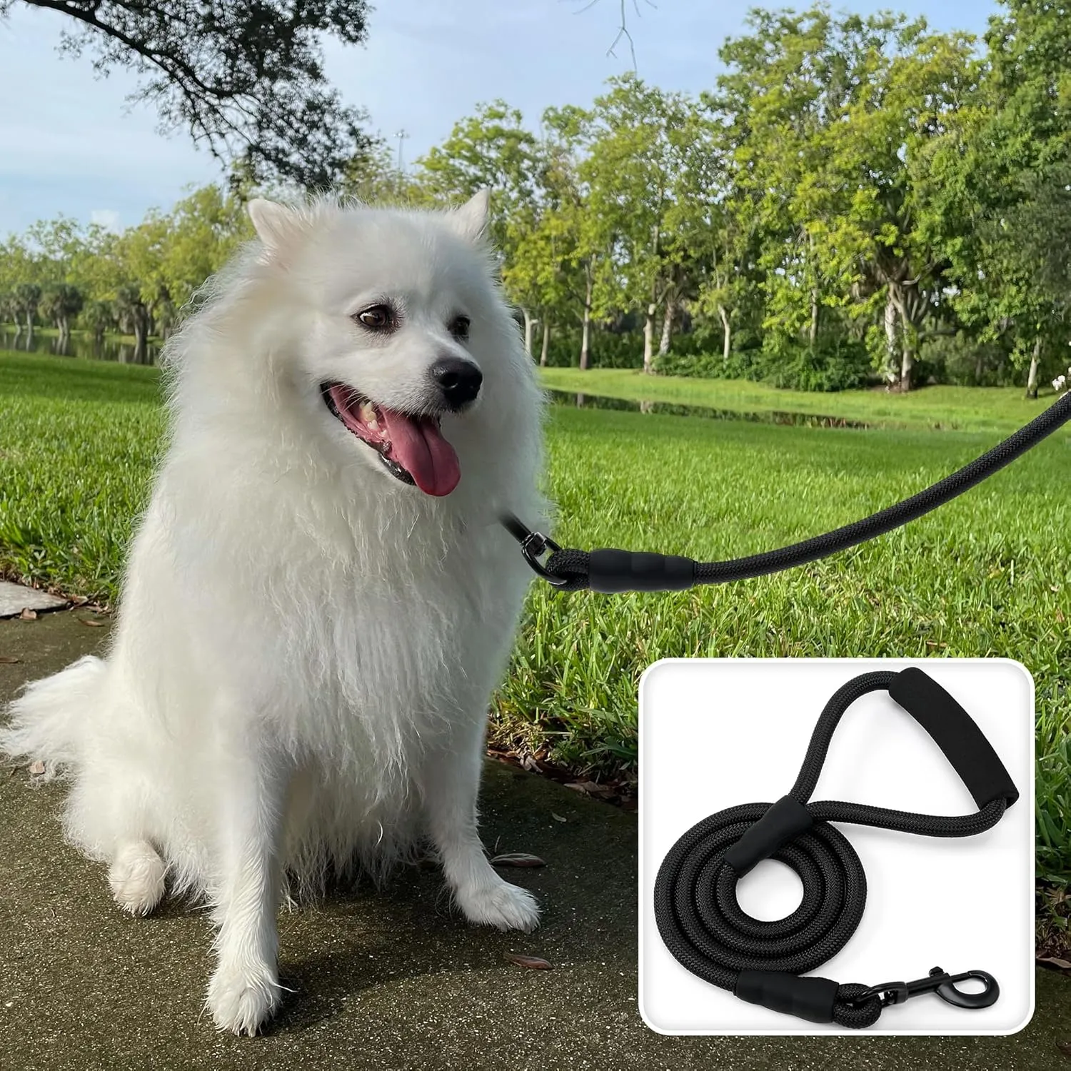 Mile High Life Dog Leash with Comfortable Padded Handle | Black Nylon Rope Dog Leash | Heavy Duty 6 Feet Dog Leashes (Black)