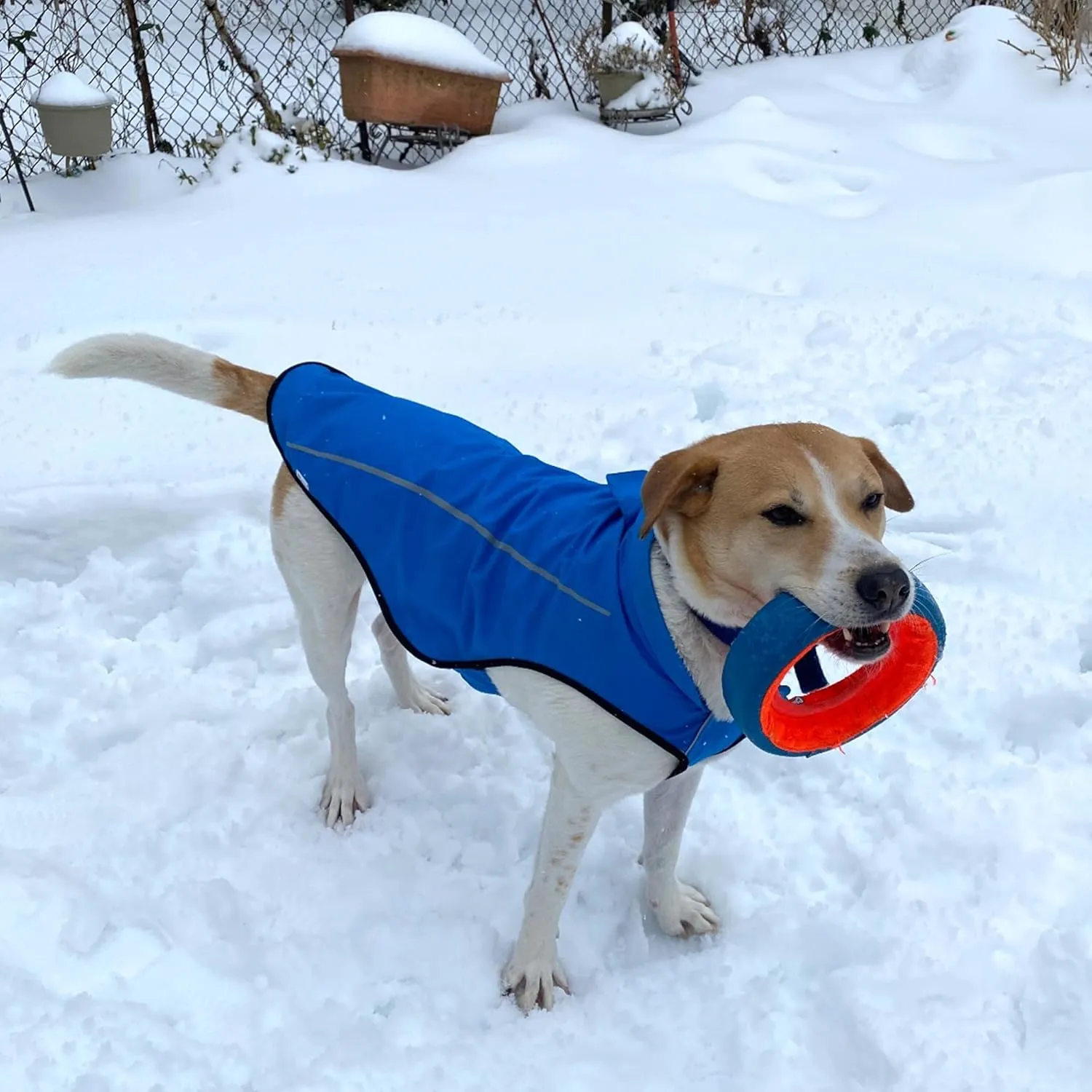 Mile High Life Dog Raincoat, Adjustable Waterproof Reflective Rain Jacket for Small Medium Large Dogs, Lightweight Breathable Pet Rain Coat with Leash Hole(Blue,XXL Chest 36-42")