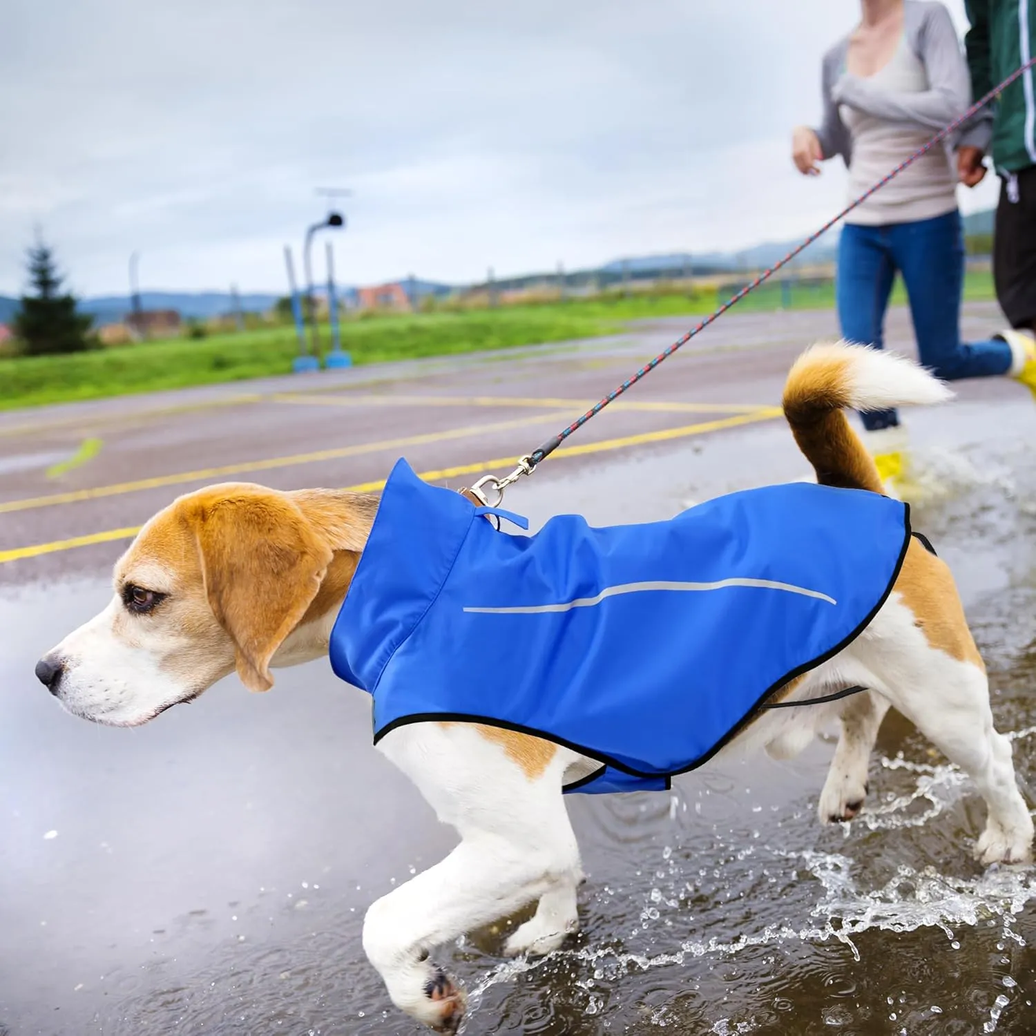 Mile High Life Dog Raincoat, Adjustable Waterproof Reflective Rain Jacket for Small Medium Large Dogs, Lightweight Breathable Pet Rain Coat with Leash Hole(Blue,XXL Chest 36-42")