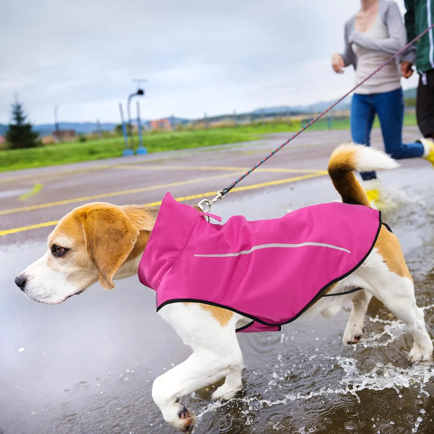 Mile High Life Dog Raincoat, Adjustable Waterproof Reflective Rain Jacket for Small Medium Large Dogs, Lightweight Breathable Pet Rain Coat with Leash Hole(Hot Pink,XXS Chest 16-19")