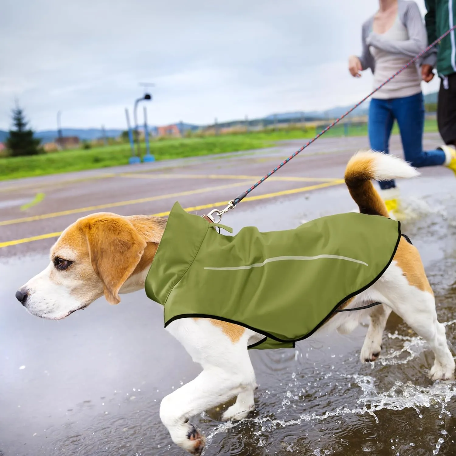 Mile High Life Dog Raincoat, Adjustable Waterproof Reflective Rain Jacket for Small Medium Large Dogs, Lightweight Breathable Pet Rain Coat with Leash Hole(Lime Yellow,M Chest 26-32")
