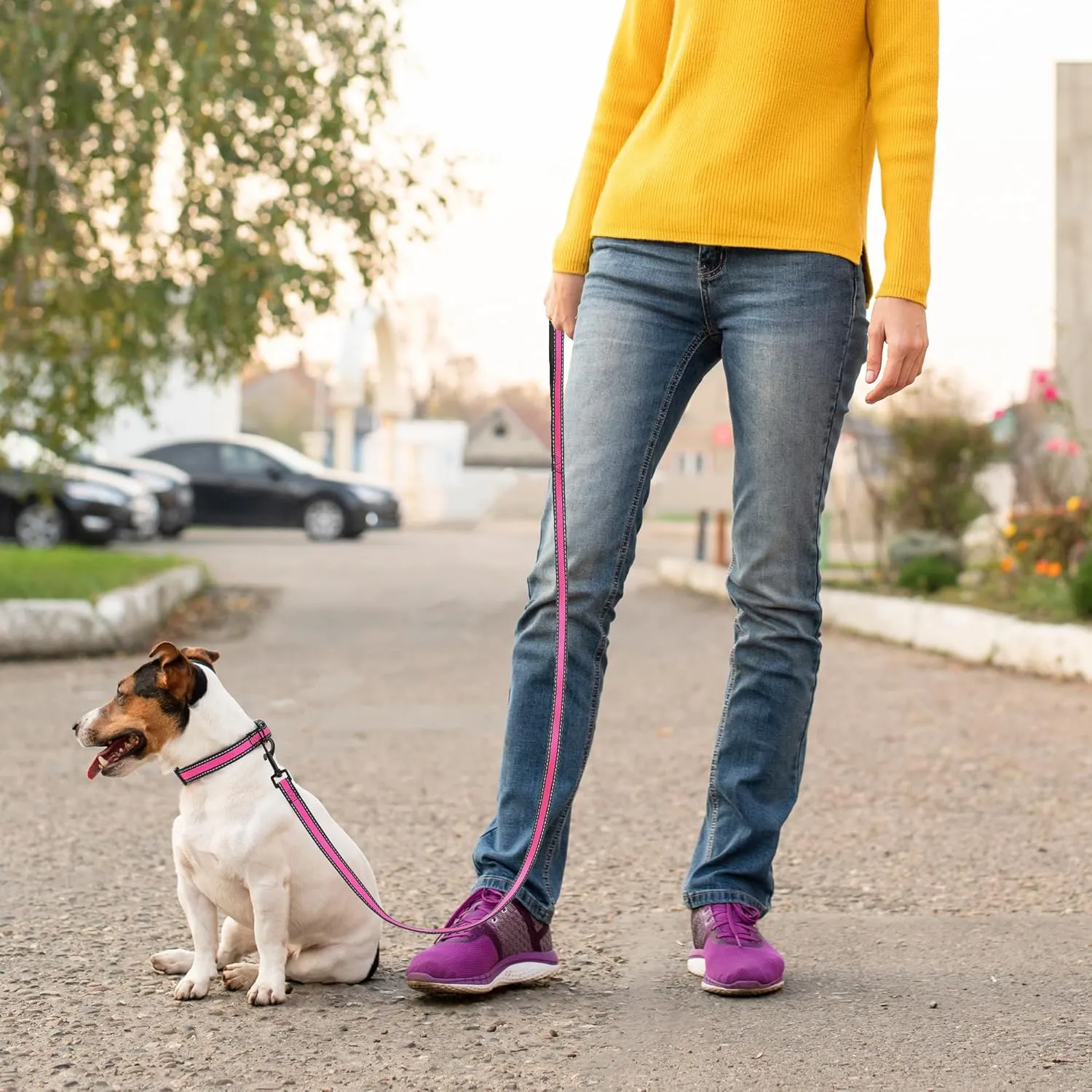Mile High Life | Reflective Dog Collar Leash Set | Adjustable Collar Leash Set (Pink, Large (Pack of 2))