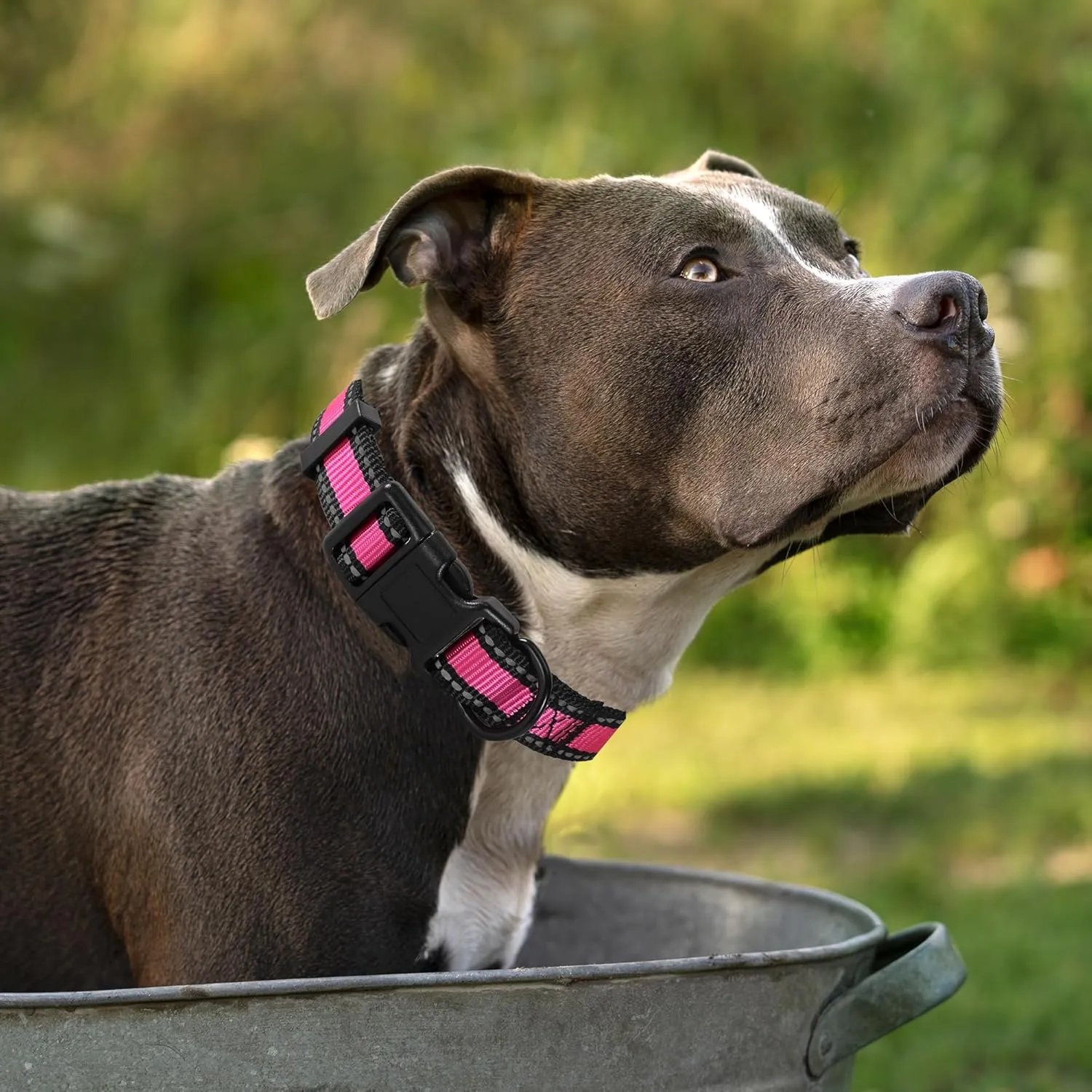 Mile High Life | Reflective Dog Collar Leash Set | Adjustable Collar Leash Set (Pink, Large (Pack of 2))
