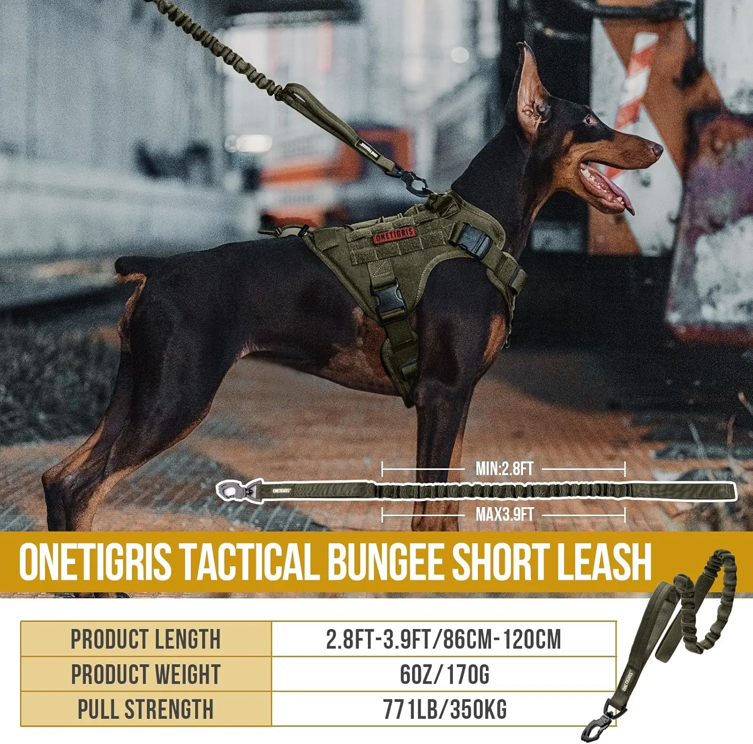 OneTigris Tactical Dog Training Bungee Leash with 2 Control Handle Quick Release Nylon Leads Rope(Ranger Green)