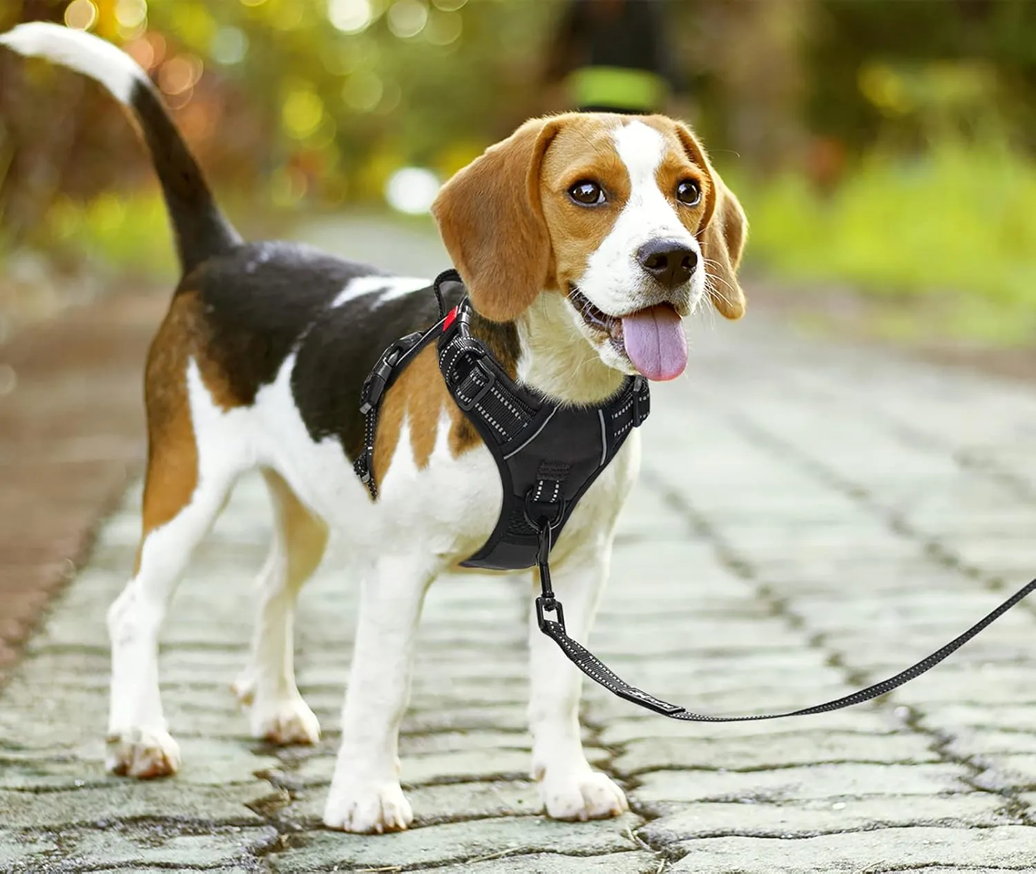 PoyPet No Pull Dog Harness, No Choke Front Lead Dog Reflective Harness, Adjustable Soft Padded Pet Vest with Easy Control Handle for Small to Large Dogs(Black,S)