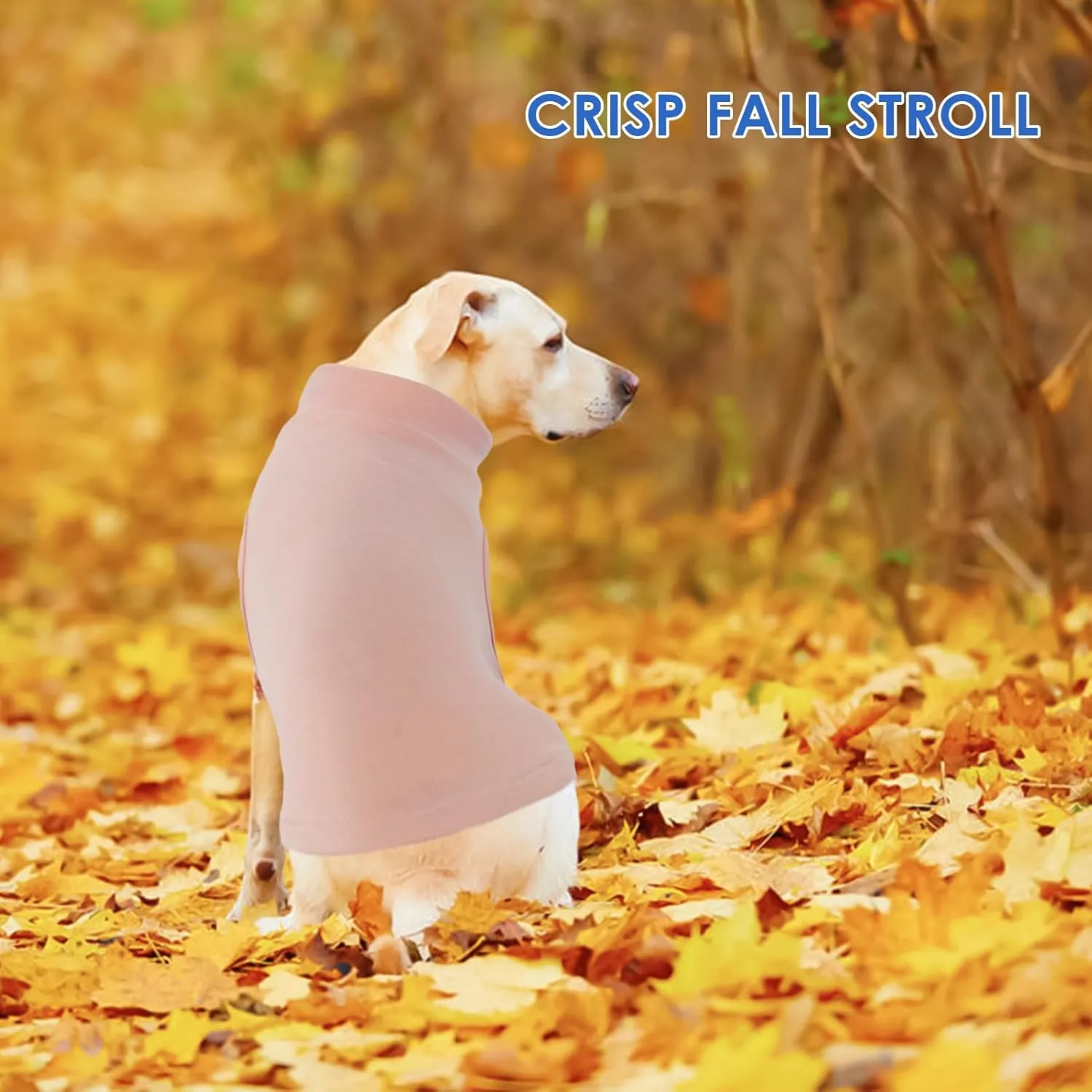Pullover Warm Vet's Best Dog Sweater - Pink Fleece, Large Stretchable, Medium Dog Jacket for Dachshunds, French Bulldogs, Mini Schnauzers