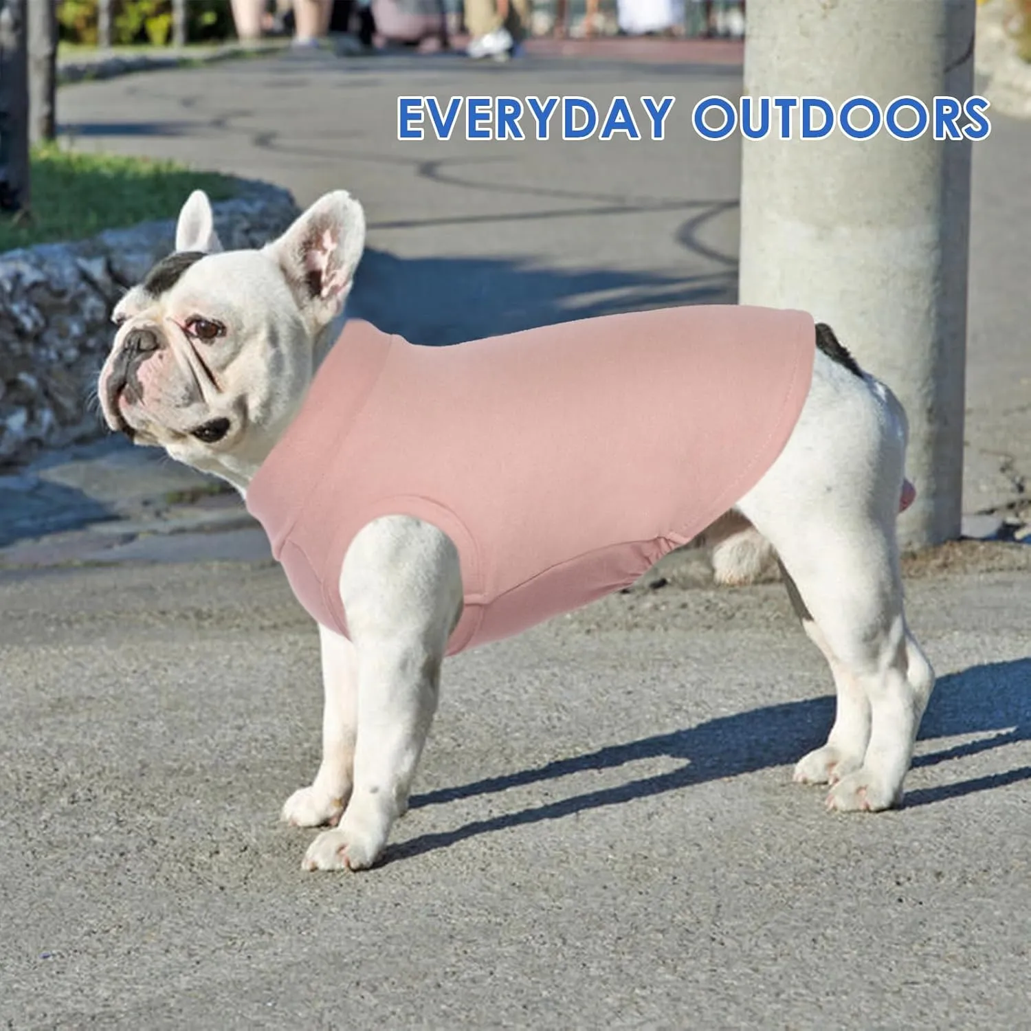 Pullover Warm Vet's Best Dog Sweater - Pink Fleece, Large Stretchable, Medium Dog Jacket for Dachshunds, French Bulldogs, Mini Schnauzers