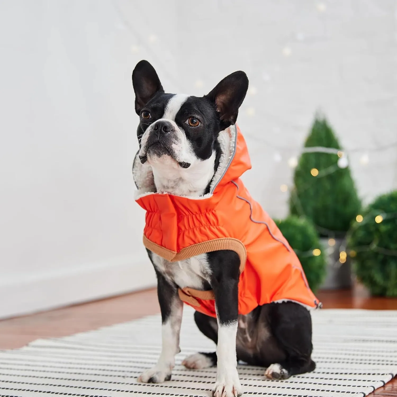 Raincoat for Dogs | Insulated & Reflective Waterproof Dog Rain Coat Jacket with Adjustable Hood, Neck, Chest | Comfortable & Easy-On Dog Rain Coats for Pets - Orange - Large