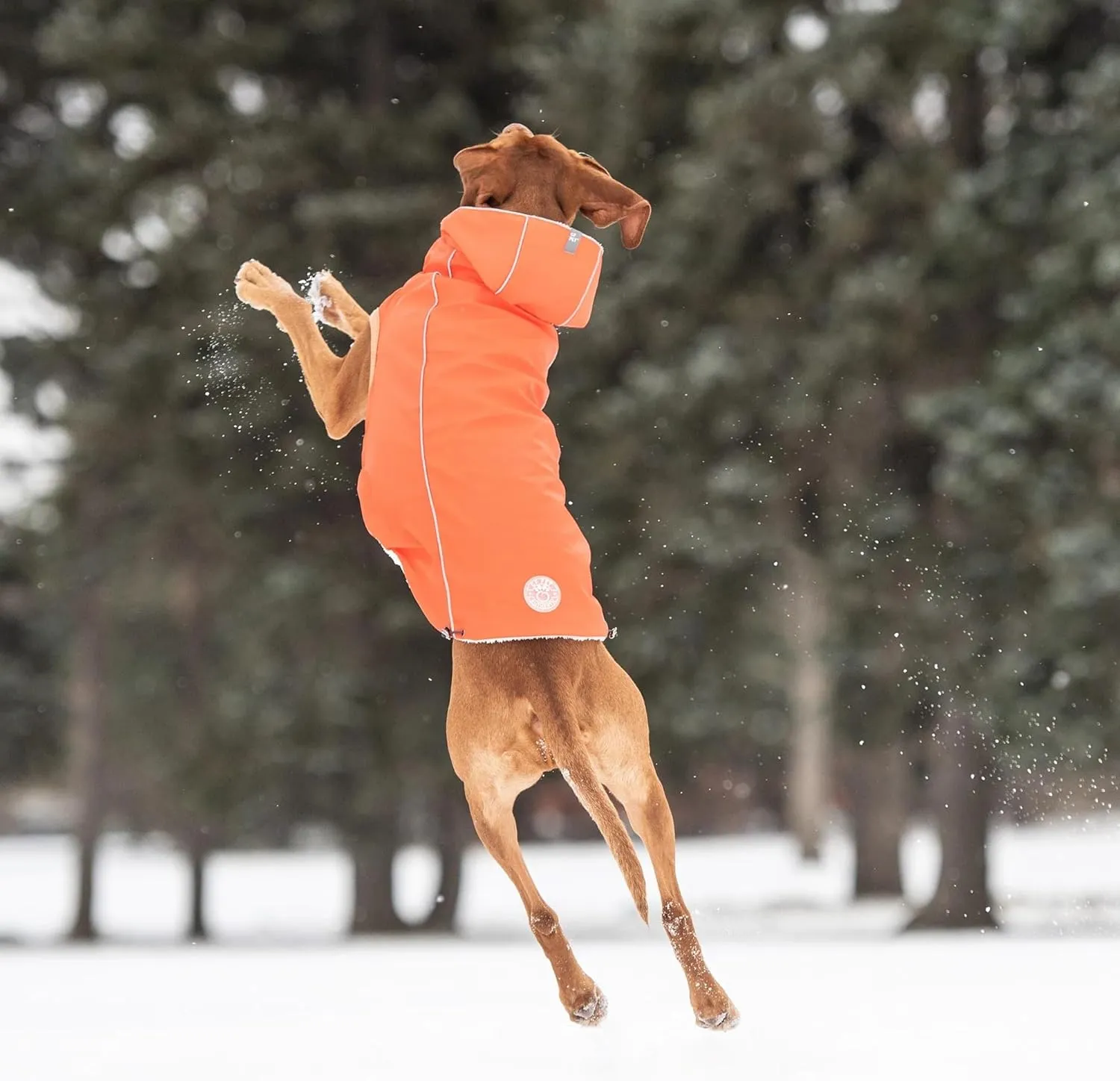 Raincoat for Dogs | Insulated & Reflective Waterproof Dog Rain Coat Jacket with Adjustable Hood, Neck, Chest | Comfortable & Easy-On Dog Rain Coats for Pets - Orange - Large