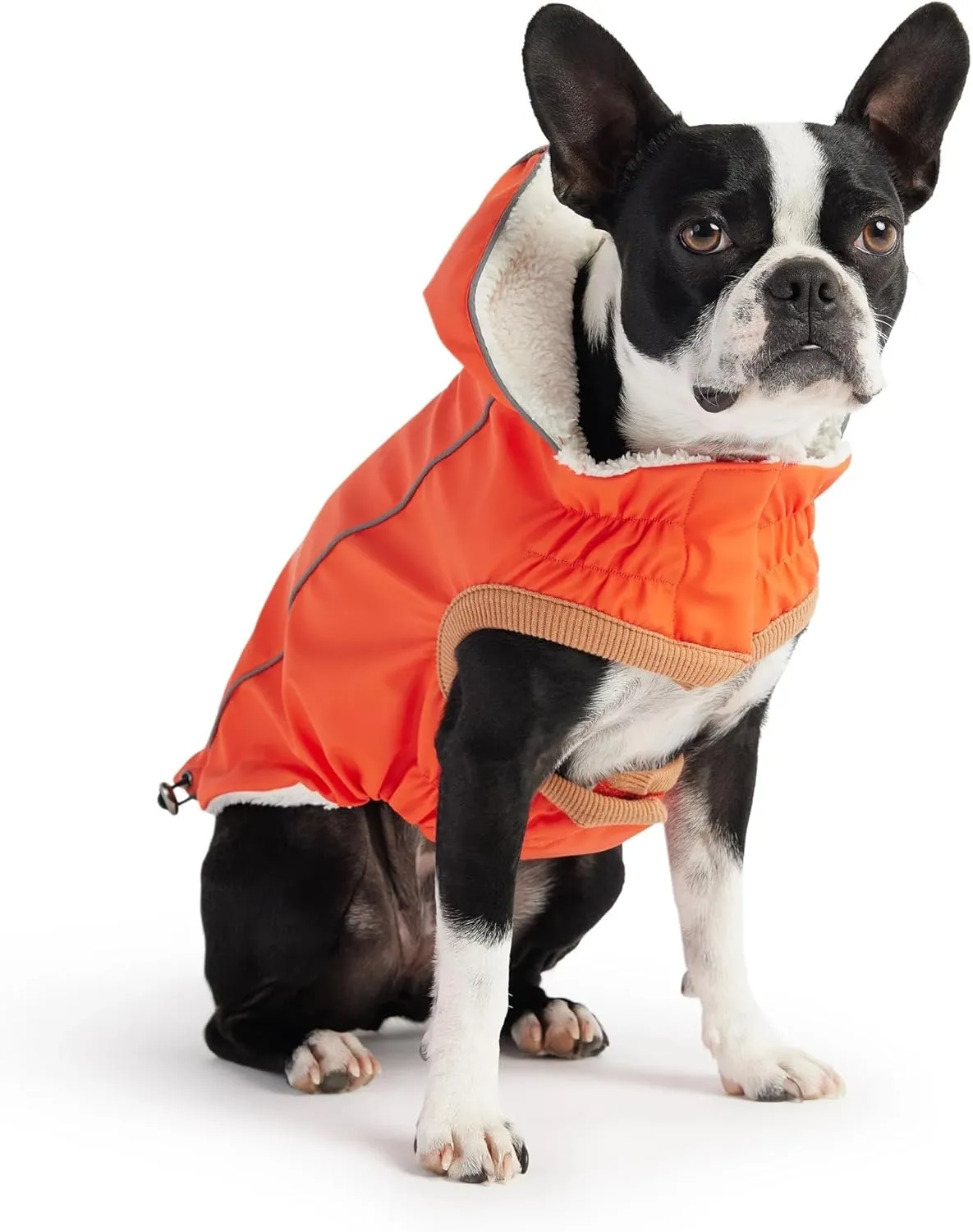 Raincoat for Dogs | Insulated & Reflective Waterproof Dog Rain Coat Jacket with Adjustable Hood, Neck, Chest | Comfortable & Easy-On Dog Rain Coats for Pets - Orange - Large