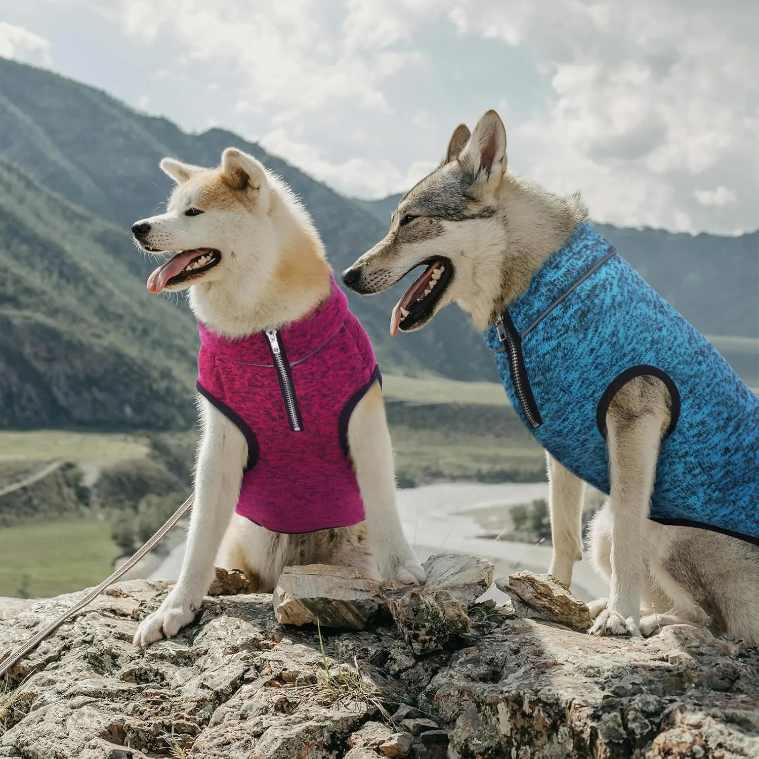 ROZKITCH Dog Sweater, Knit Dog Jacket with Fleece Lining, Dog Coats for Small Dogs with Zipper Opening for Harness, Fleece Dog Jacket Adjustable Neck Reflective Pet Jacket Blue M