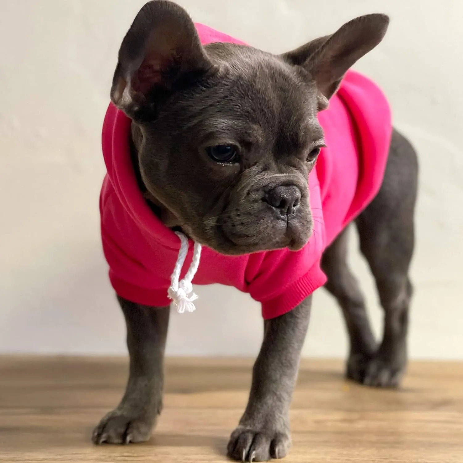 She Said Yes! Wedding Engagement Announcement Dog Hoodie Fleece Lined Pullover Sweatshirt with Leash Hole (Green, 3X-Large 332)