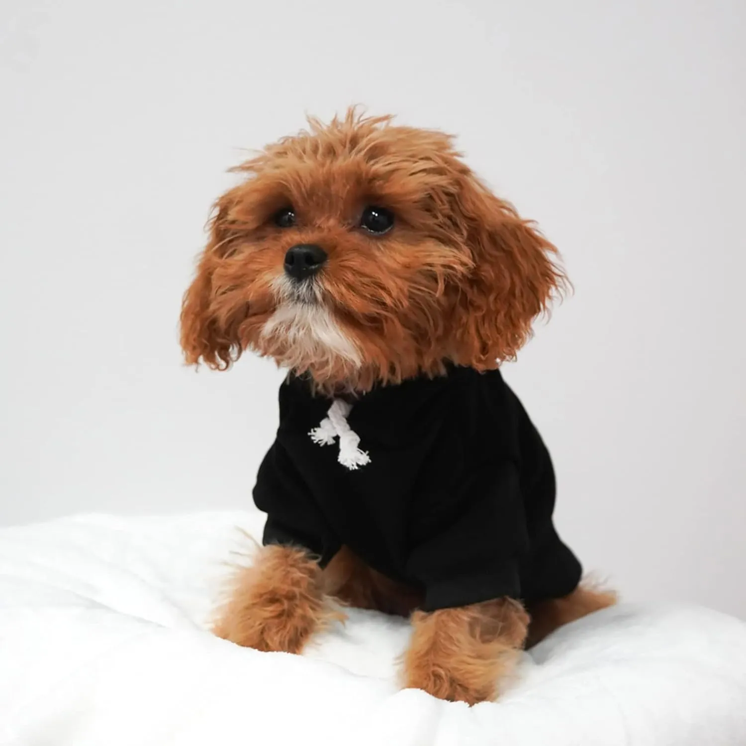 She Said Yes! Wedding Engagement Announcement Dog Hoodie Fleece Lined Pullover Sweatshirt with Leash Hole (Green, 3X-Large 332)