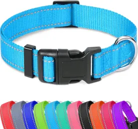 Taglory Reflective Adjustable Dog Collars for Puppy Small Medium Large Dogs, Thin Nylon Webbing and Quick Release Plastic Buckle(Aqua Blue, XSmall)