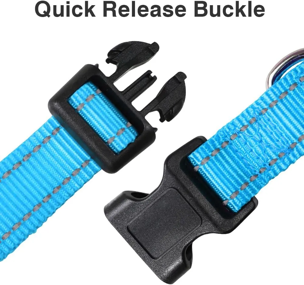 Taglory Reflective Adjustable Dog Collars for Puppy Small Medium Large Dogs, Thin Nylon Webbing and Quick Release Plastic Buckle(Aqua Blue, XSmall)