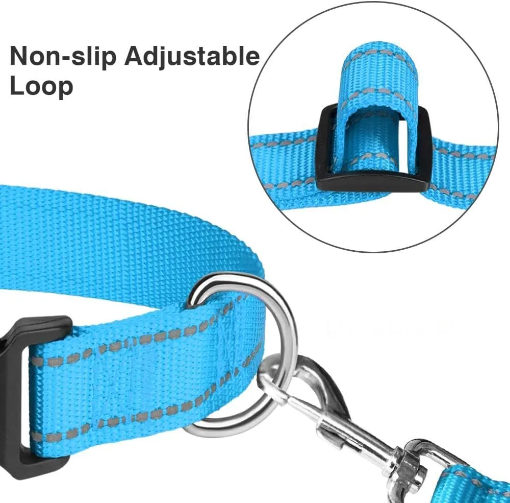 Taglory Reflective Adjustable Dog Collars for Puppy Small Medium Large Dogs, Thin Nylon Webbing and Quick Release Plastic Buckle(Aqua Blue, XSmall)