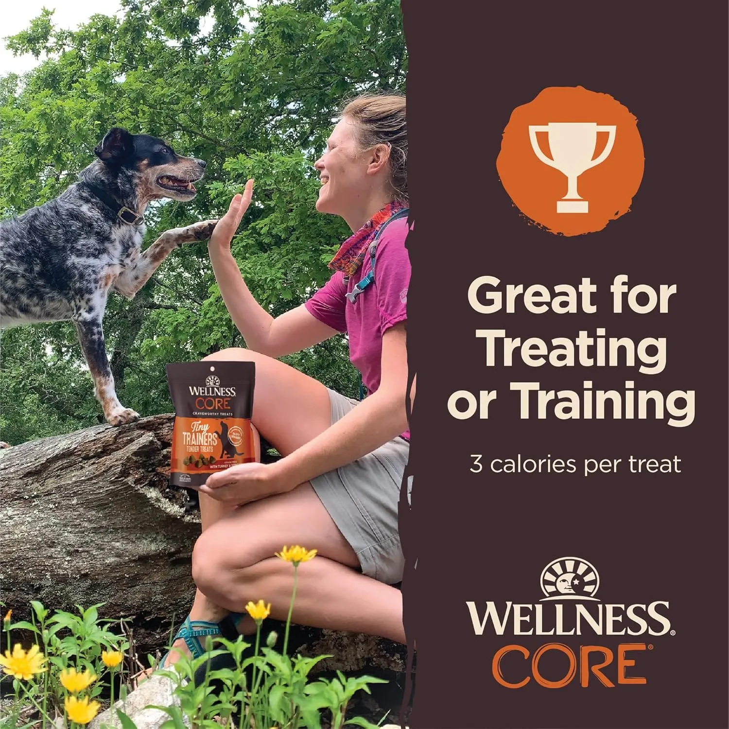 Wellness CORE Tiny Trainers Dog Treats, Natural, Training Treat, Grain Free, Turkey & Pomegranate (6 Ounce Bag)