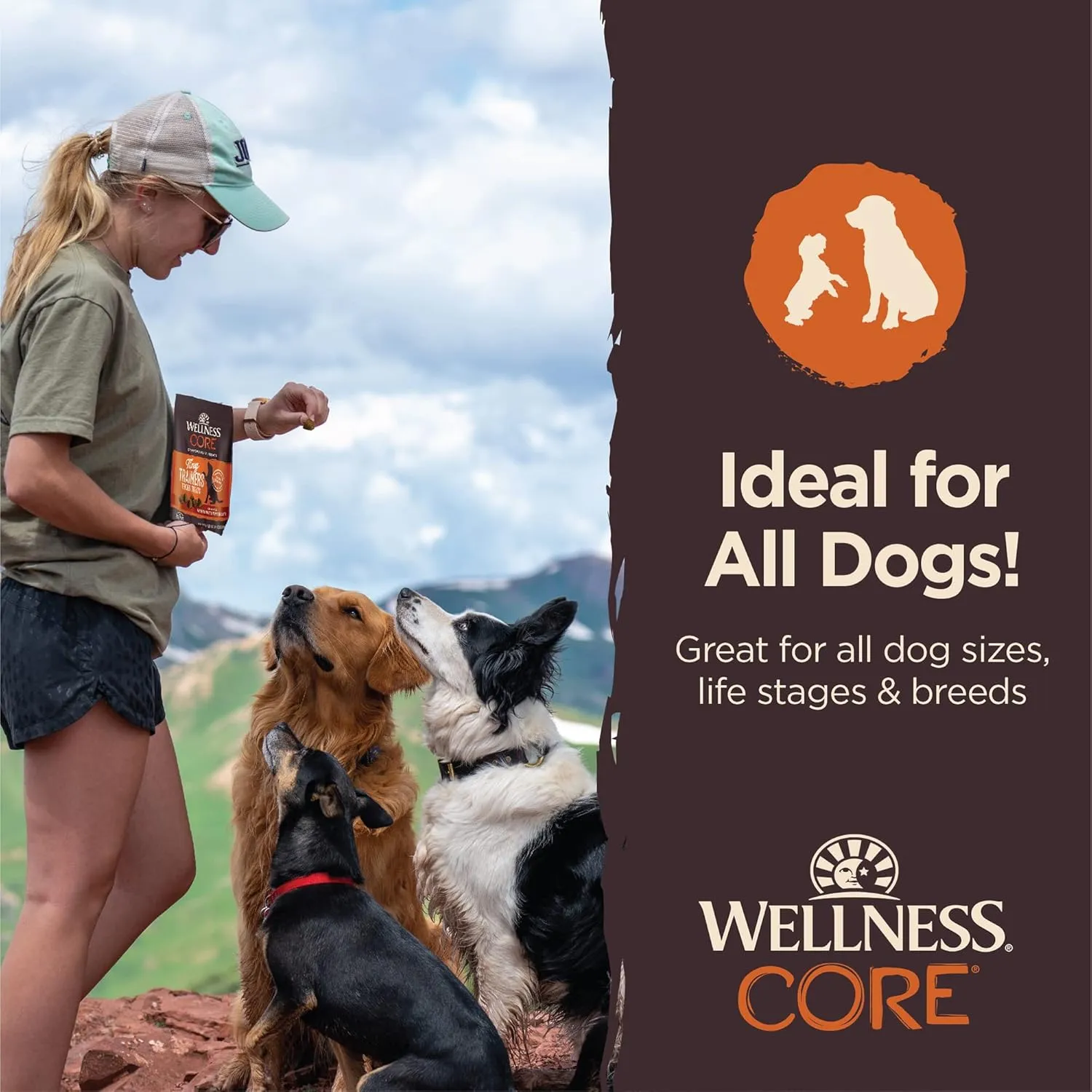 Wellness CORE Tiny Trainers Dog Treats, Natural, Training Treat, Grain Free, Turkey & Pomegranate (6 Ounce Bag)
